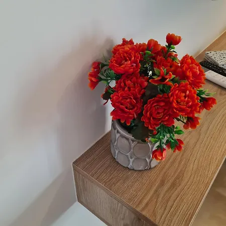 Fay's Luxury Loft * Волос